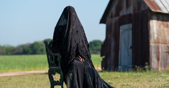 the-woman-in-the-yard,-the-day-the-earth-blew-up:-a-looney-tunes-movie-and-every-new-movie-to-watch-at-home-this-weekend