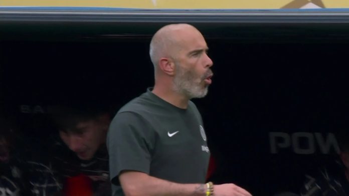 enzo-maresca-is-every-chelsea-fan-as-joao-pedro-opens-account-in-emphatic-fashion-at-club-world-cup