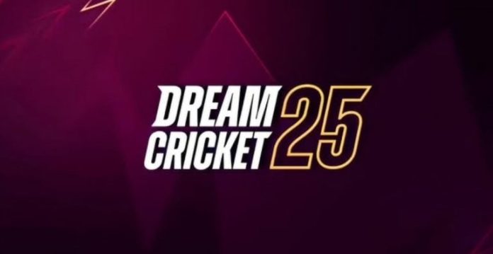 where-sports-meets-code:-how-dream-cricket-is-redefining-sports-gaming