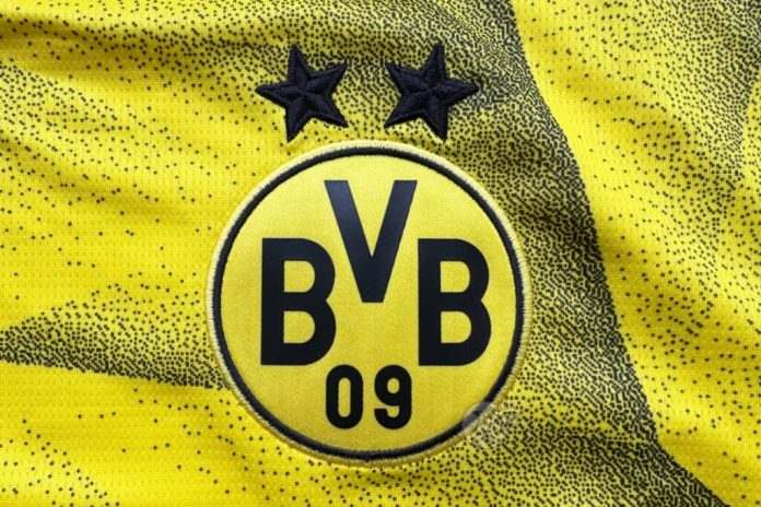 tottenham-should-fight-borussia-dortmund-off-with-a-stick-this-summer