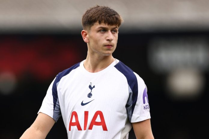 luton-town-0-0-tottenham-hotspur-match-report,-thomas-frank’s-creativity-problem