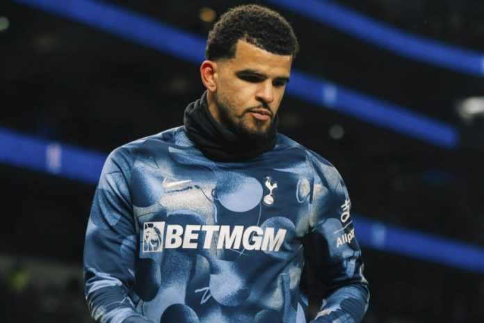 dominic-solanke-makes-confident-tottenham-prediction-but-man-united-fans-will-hate-it