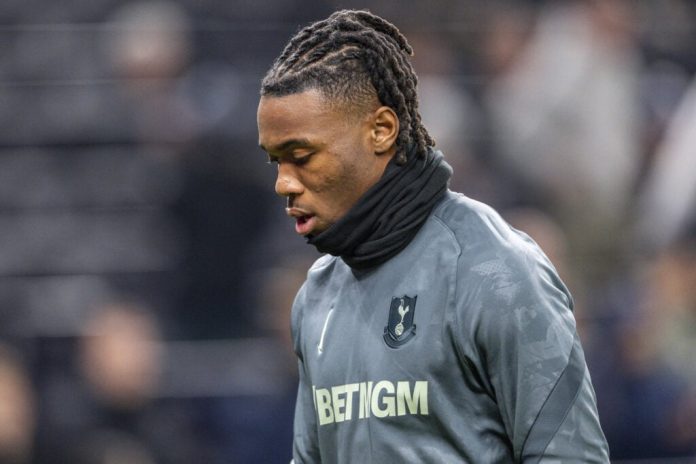 tottenham-fans-name-five-players-spurs-should-sign-to-replace-injured-destiny-udogie