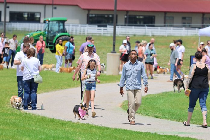 oak-grove-racing,-gaming-&-hotel-mother’s-day-event-blends-horsepower-and-puppy-power-–-clarksville-online-–-clarksville-news,-sports,-events-and-information