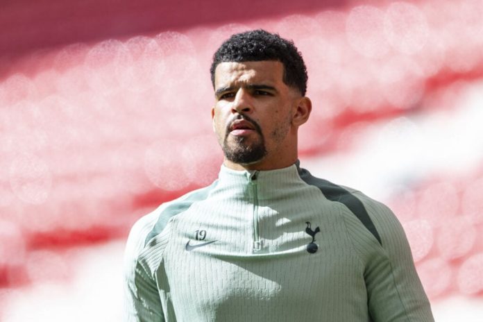 dominic-solanke-begs-tottenham-teammate-to-return-for-pre-season-training-early
