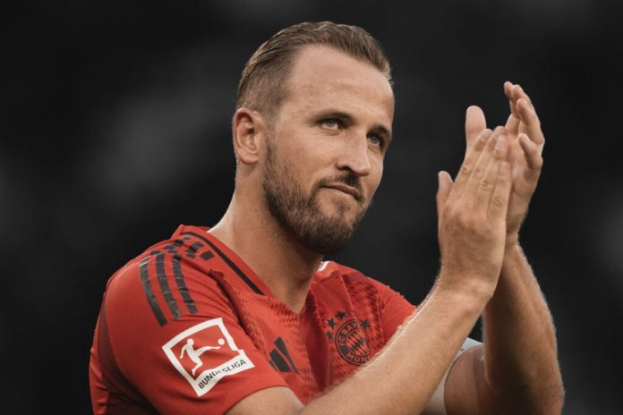 tottenham-fans-will-be-excited-by-what-harry-kane-said-about-joao-palhinha