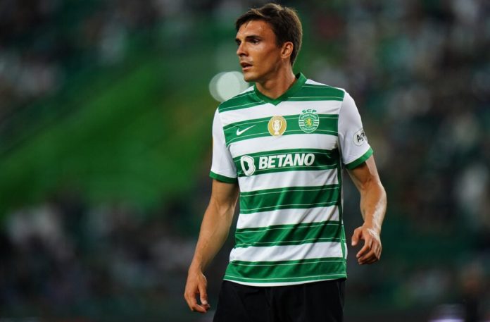 joao-palhinha-wants-to-‘win-titles-again’-with-a-familiar-face-at-tottenham