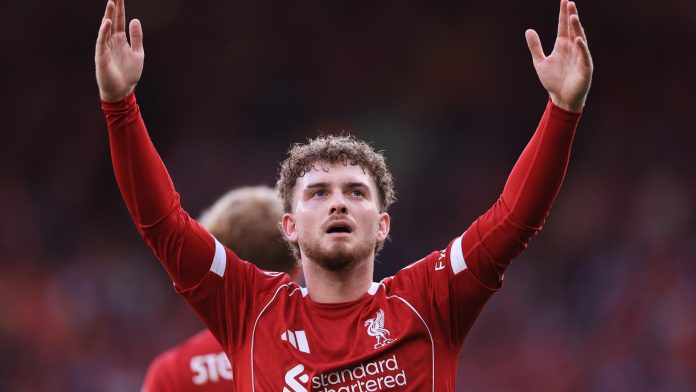harvey-elliott-told-premier-league-club-that-would-be-perfect-fit-amid-liverpool-future-doubts