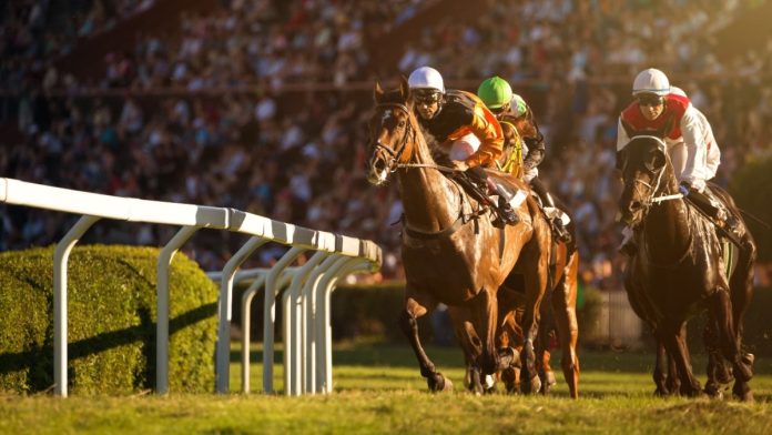 olg-partners-woodbine-to-offer-horse-racing-betting-in-ontario-–-gaming-intelligence