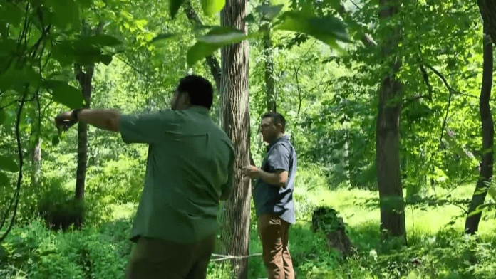 startup-combines-video-games-and-nature-in-real-life-treasure-hunts