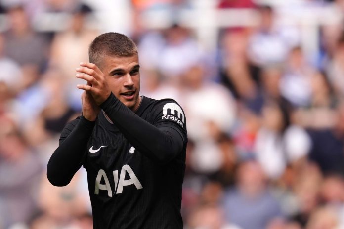tottenham-and-hamburg-hold-talks-over-luka-vuskovic-loan