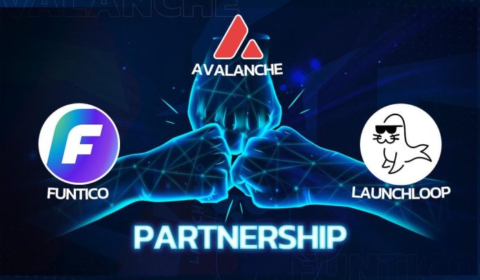 avalanche-picks-funtico-as-its-indie-gaming-platform